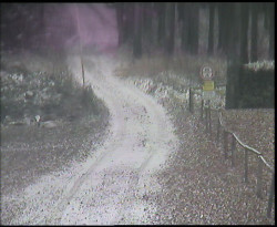 Nástup na běžecké tratě