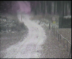 Nástup na běžecké tratě