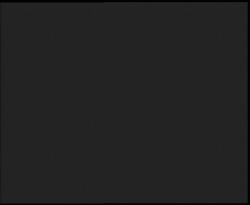 Nástup na běžecké tratě