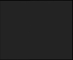 Nástup na běžecké tratě