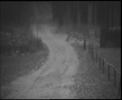 Nástup na běžecké tratě