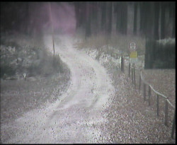 Nástup na běžecké tratě