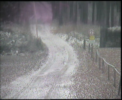 Nástup na běžecké tratě