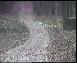 Nástup na běžecké tratě