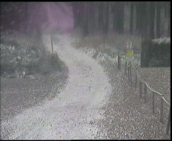 Nástup na běžecké tratě