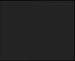 Nástup na běžecké tratě