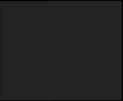 Nástup na běžecké tratě