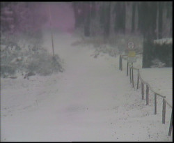 Nástup na běžecké tratě