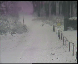 Nástup na běžecké tratě