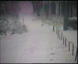 Nástup na běžecké tratě