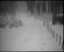 Nástup na běžecké tratě