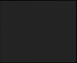 Nástup na běžecké tratě