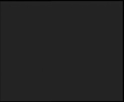 Nástup na běžecké tratě