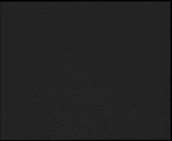 Nástup na běžecké tratě