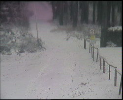 Nástup na běžecké tratě