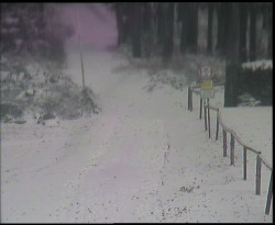 Nástup na běžecké tratě