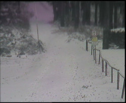 Nástup na běžecké tratě