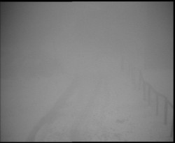 Nástup na běžecké tratě