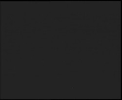 Nástup na běžecké tratě