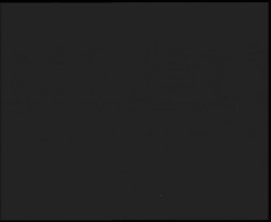 Nástup na běžecké tratě