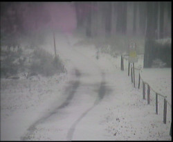 Nástup na běžecké tratě