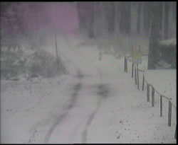 Nástup na běžecké tratě