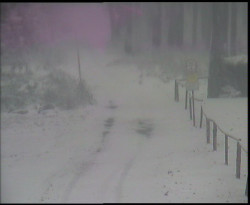 Nástup na běžecké tratě