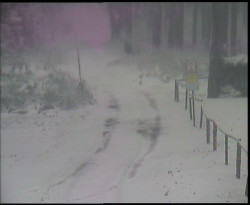 Nástup na běžecké tratě