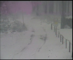 Nástup na běžecké tratě