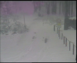 Nástup na běžecké tratě