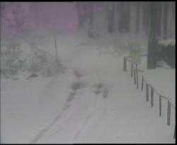 Nástup na běžecké tratě