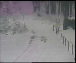 Nástup na běžecké tratě