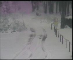 Nástup na běžecké tratě