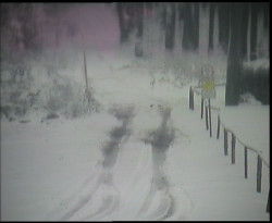 Nástup na běžecké tratě