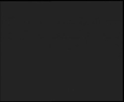 Nástup na běžecké tratě