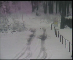 Nástup na běžecké tratě