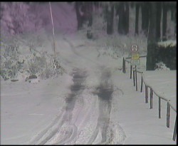 Nástup na běžecké tratě