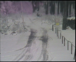 Nástup na běžecké tratě