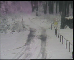 Nástup na běžecké tratě