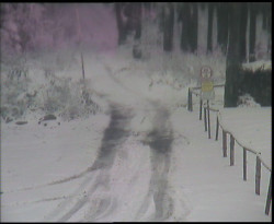 Nástup na běžecké tratě