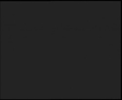 Nástup na běžecké tratě