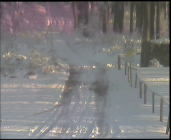 Nástup na běžecké tratě