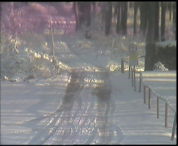 Nástup na běžecké tratě