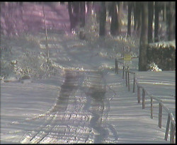 Nástup na běžecké tratě