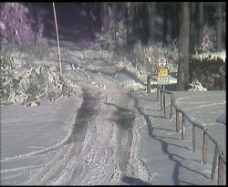 Nástup na běžecké tratě