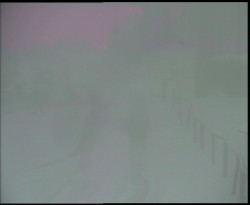 Nástup na běžecké tratě