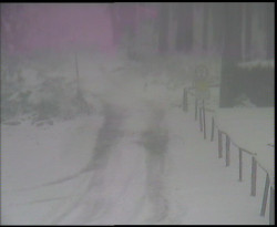 Nástup na běžecké tratě