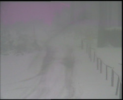 Nástup na běžecké tratě