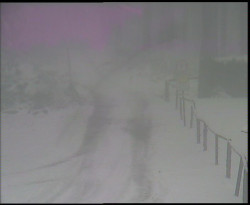 Nástup na běžecké tratě