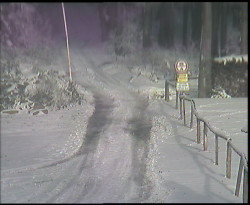 Nástup na běžecké tratě